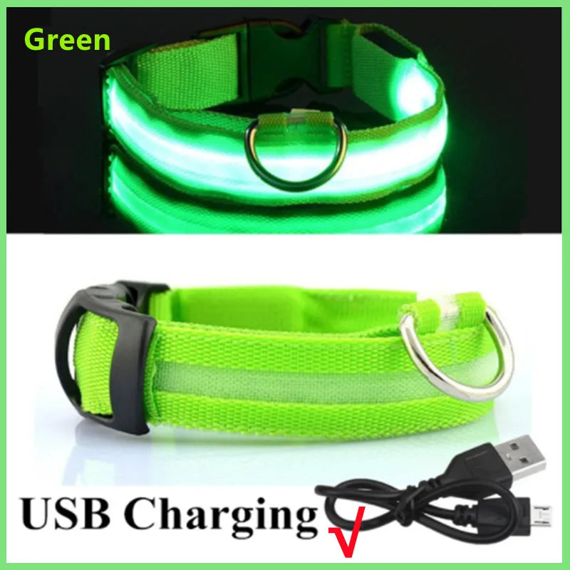 Rechargeable LED Glowing Pet Collar - Adjustable Night Safety Light for Dogs and Cats