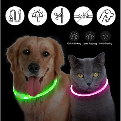 Rechargeable LED Glowing Pet Collar - Adjustable Night Safety Light for Dogs and Cats