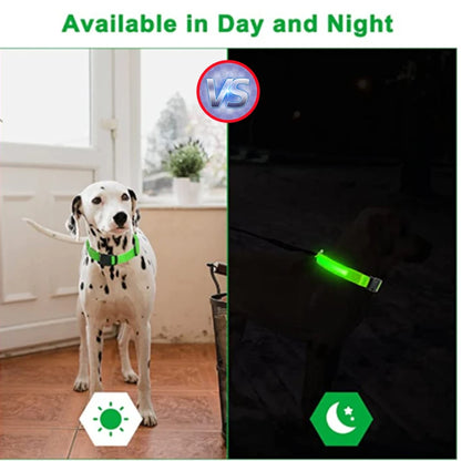 Rechargeable LED Glowing Pet Collar - Adjustable Night Safety Light for Dogs and Cats