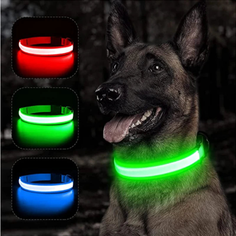 Rechargeable LED Glowing Pet Collar - Adjustable Night Safety Light for Dogs and Cats